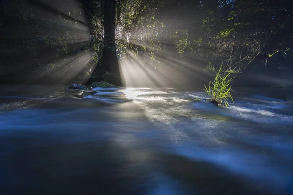 Sis Güneş Nehri Delip Geçiyor Işıl Işıl Sabah Güneşi Uzun — Stok fotoğraf