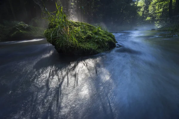 Mlha Slunce Řece Jasné Ranní Slunce Ustupující Mlha Během Dlouhého — Stock fotografie