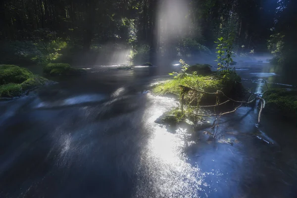 Dimma Och Solnedgång Floden Ljus Morgonsol Och Vikande Dimma Lång — Stockfoto