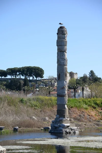 Artemis Ναός Artemis Ναός Artemis Πυλώνας Ερείπιο Αντίκες Αρχαιολογία Artemision — Φωτογραφία Αρχείου