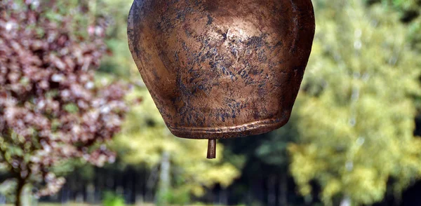 Miedziany Dzwon Naturze — Zdjęcie stockowe