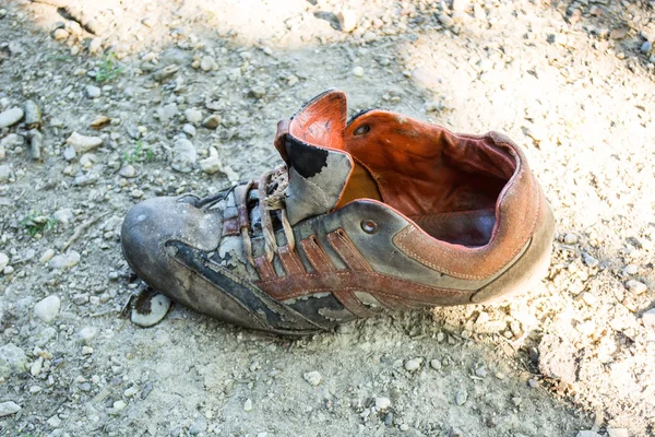 Zapatos Deportivos Usados Abandonados Patio Trasero —  Fotos de Stock