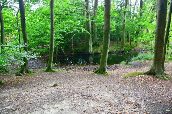 Schöne Aussicht Auf Die Natur — Stockfoto