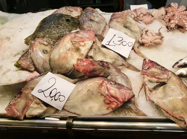 Mercado Veneciano Pescado Pescado Pulpo Mercado Pescado Rialto Encuentra Junto —  Fotos de Stock