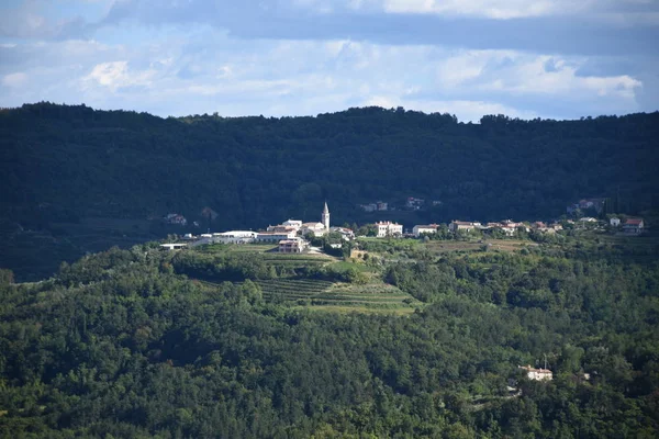 Motovun Montona Village Meadows Mirna Fields Agriculture House — 图库照片