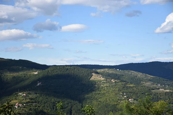 Motovun Montona Köy Çayırlar Mirna Tarlalar Tarım — Stok fotoğraf