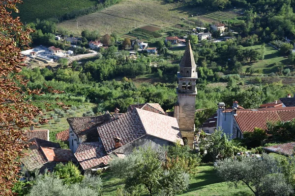 Motovun Montona Város Történelmi Sikátor Keskeny Kanyargós Ház — Stock Fotó