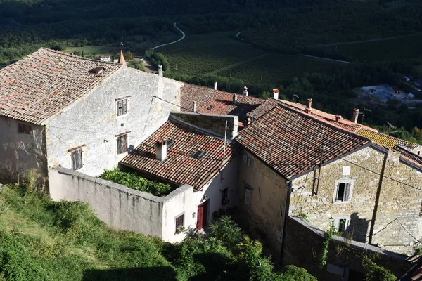 Motovun Montona Ville Historique Ruelle Étroit Sinueux Maison — Photo