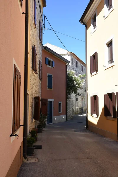 Novigrad Ville Ruelle Écran Parapluies Sinueux Étroit Historique — Photo