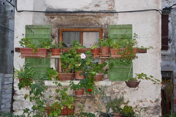 Rovinj Ciudad Casco Antiguo Edad Media Casas Callejones Escaleras Clothesline — Foto de Stock