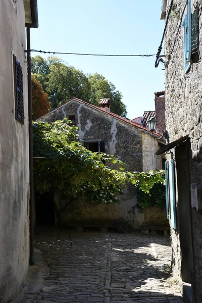 Gronzjan Istria Croazia Città Case Centro Storico Vicolo Casa Pietra — Foto Stock