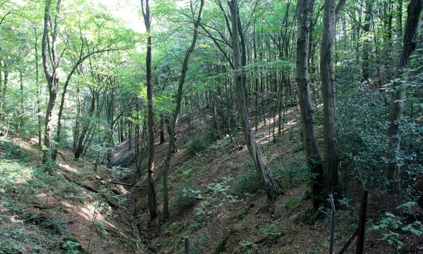 Canyons Estreitos São Parte Natureza Neanderthal — Fotografia de Stock