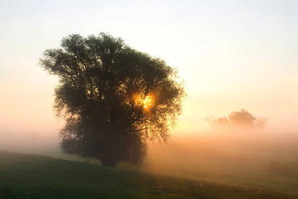 Picturesque View Outdoor Scene — Stock Photo, Image