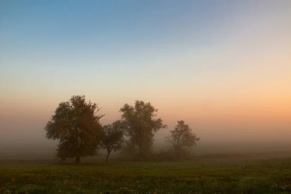 Schöne Aussicht Auf Die Natur — Stockfoto