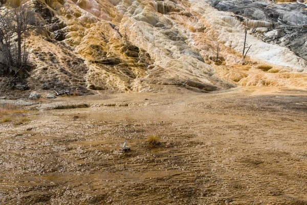 Palette Spring Yellowstone National Park Wyoming Usa — 스톡 사진