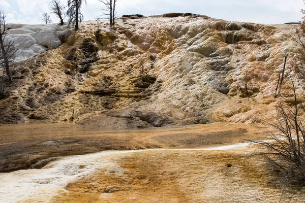 Palette Frühling Yellowstone Nationalpark Wyoming Usa — Stockfoto