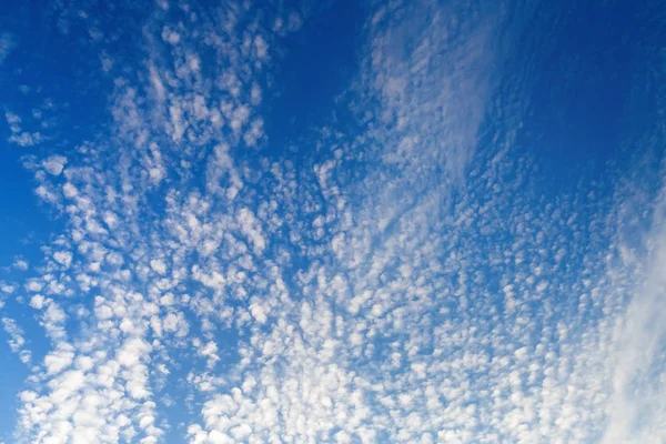 Mavi Gökyüzü Ile Birçok Küçük Kabarık Beyaz Bulutlar Gökyüzü Bulutlar — Stok fotoğraf