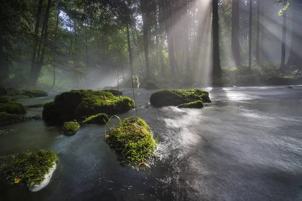 Nebel Und Sonne Brechen Fluss Auf Strahlende Morgensonne Und Nachlassender — Stockfoto