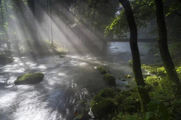 Mlha Slunce Lámou Řece Zářivé Ranní Slunce Ustupující Mlha Při — Stock fotografie