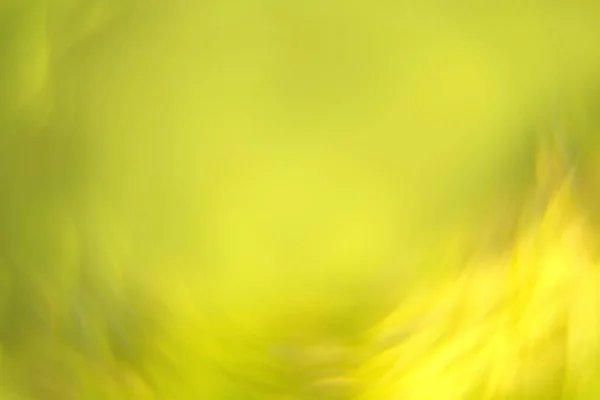 Sárga Zöld Levelek Csavart Lencse Típus Petzval Tökéletes Háttér — Stock Fotó