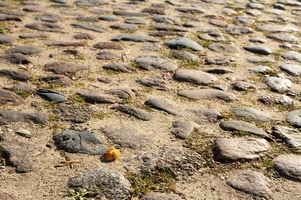 Die Steine Der Alten Straße Die Das Vergangene Jahrtausend Erinnern — Stockfoto