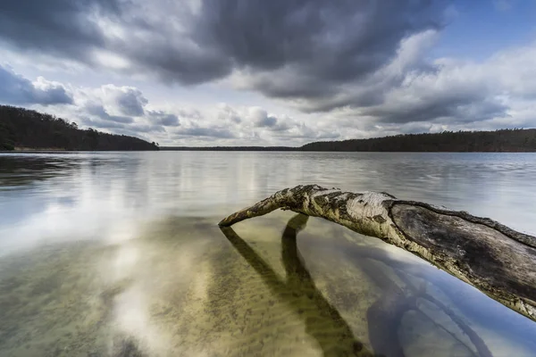 Árvores Mortas Água Lago — Fotografia de Stock