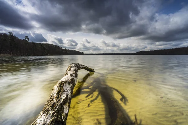 Fallen Trees Edge Lake Reflection Beautiful Clouds Water — Stock Photo, Image