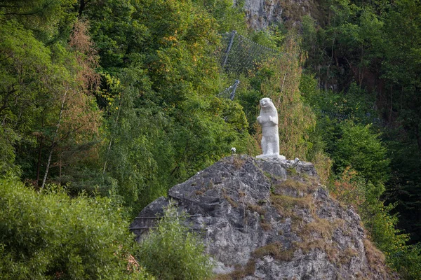 Nature Flore Environnement Feuillage — Photo