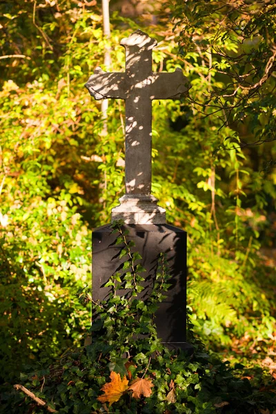 Старый Деревянный Крест Кладбище — стоковое фото