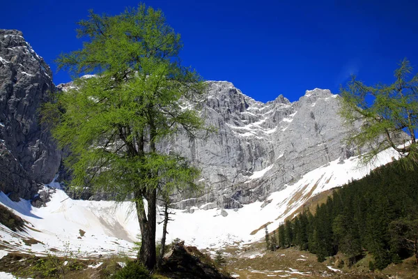 2492 Metre Yukarıdan Enger Taban Görüntüsü Grubenkarkarspitze 263M Tine Noktası — Stok fotoğraf