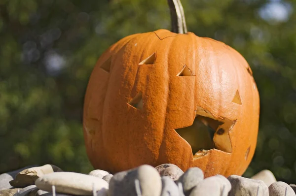 田舎の石の山でハロウィーンの祭りのためのGeschnitzem顔を持つ空洞化されたカボチャ — ストック写真