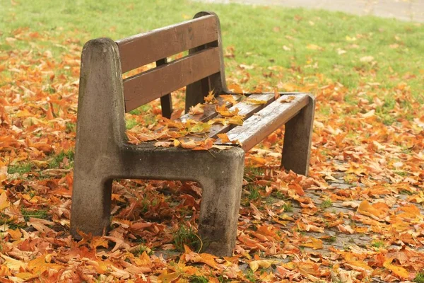 Kleurrijke Herfst Bladeren Herfst Seizoen Gebladerte — Stockfoto