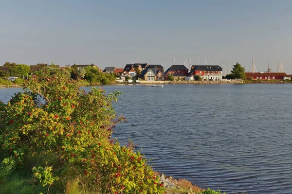 Insel Fehmarn Orth Vinda Vista Lemkenhafen — Fotografia de Stock