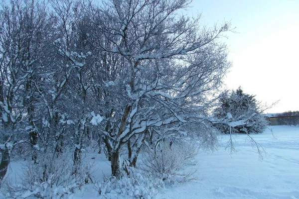 Natureza Islândia Cachoeira Vista Panorâmica Reykjavik — Fotografia de Stock