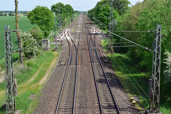 Järnvägsspår Skogen — Stockfoto