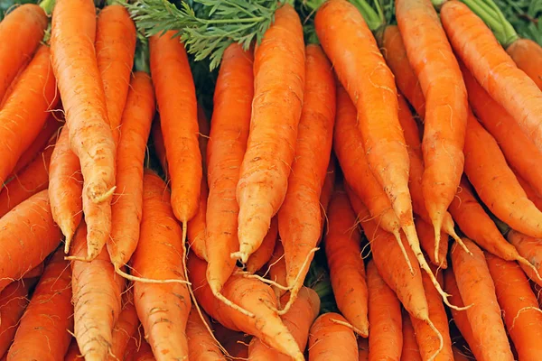 Bundle Carrots Farmers Market — Stock Photo, Image
