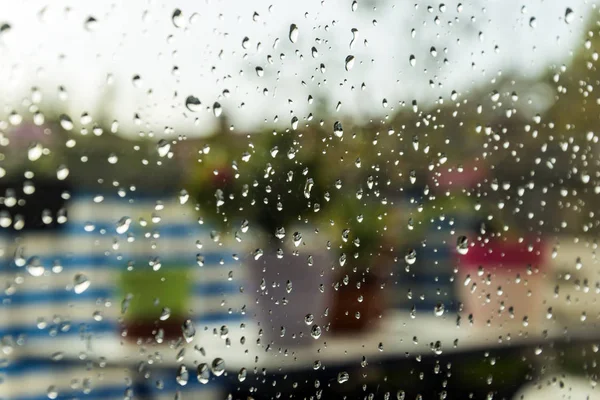 Krople Deszczu Deszczu Oknie Tle Kilka Kolorowe Kwiaty Niektóre Zamazane — Zdjęcie stockowe