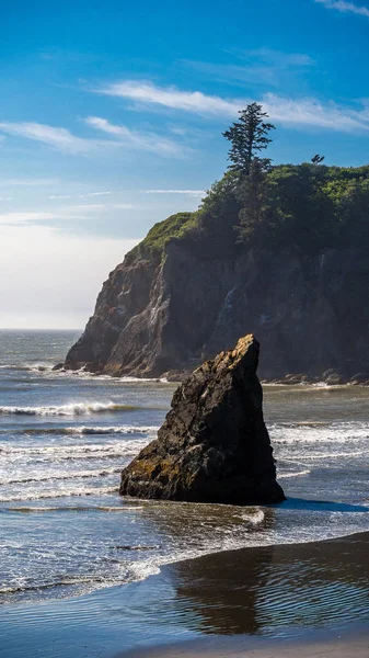 Retrato Abbey Island Ruby Beach —  Fotos de Stock