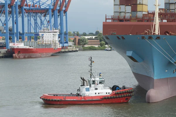 Containerschiff Auf Einem Containerterminal Der Elbe Hamburg — Stockfoto