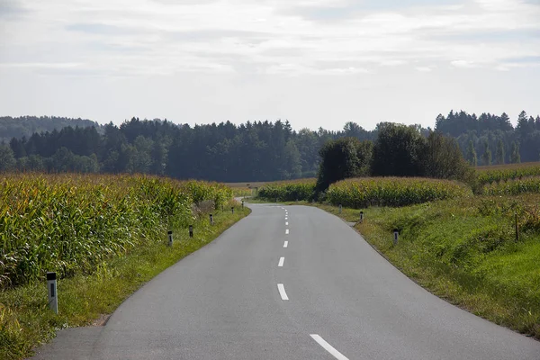 Strada Nelle Zone Rurali — Foto Stock