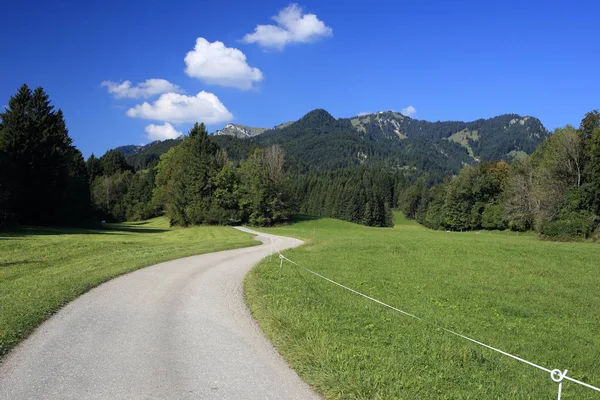 Eenzame Weg Naar Bergen — Stockfoto