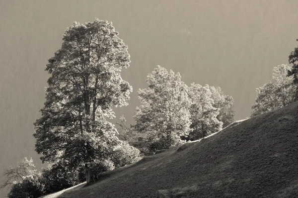 Alpes Suíços Montanhas Cobertas Neve Vales Profundos Vista Deslumbrante Panorama — Fotografia de Stock