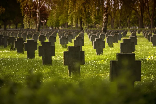 Vojáci Hroby Louce Před Lesem Rozmazanými Popředími — Stock fotografie