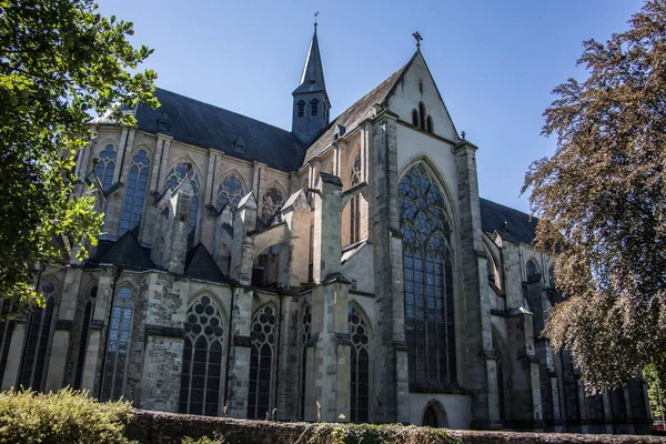 Cattedrale Altenberg Terra Bergisch — Foto Stock