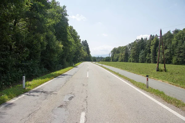 Silnice Bez Vozidel Přes Lesní Plochu — Stock fotografie