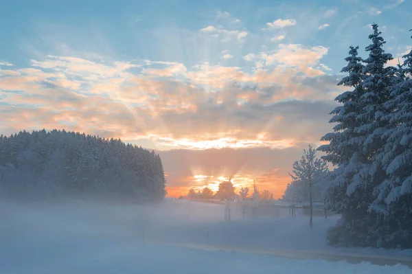 Inverno Mattina Neve Tranquillo Paesaggio Rurale Con Nebbia Sulla Foresta — Foto Stock