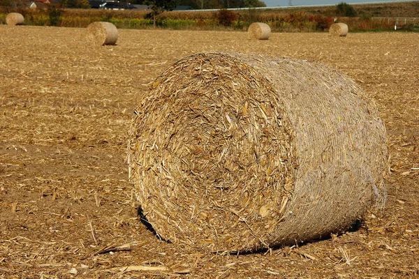 Agricultural Countryside Bales Field — Stock Photo, Image