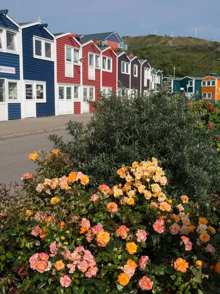 Vacker Utsikt Över Vackra Hamnen — Stockfoto