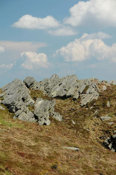 Yazın Dağdaki Çayırlarda Kayalar — Stok fotoğraf