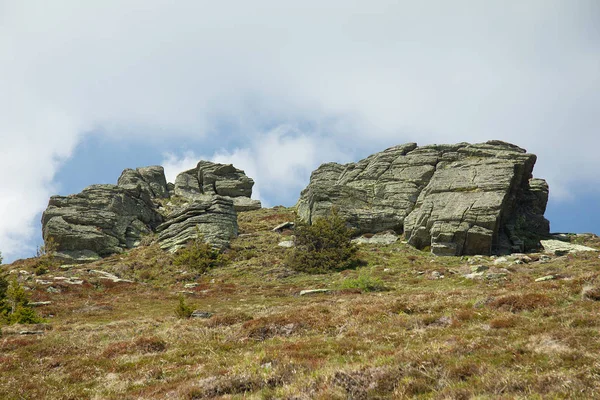 Yazın Dağdaki Çayırlarda Kayalar — Stok fotoğraf